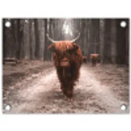 Hooglander in het Bos tuinposter los doek klein -3d
