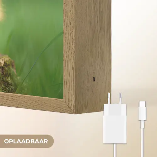 Kuiken - Eend - Geel - Gras Light Box met batterij (Wandlamp) middel -USP_websiteoplaadbaarNL
