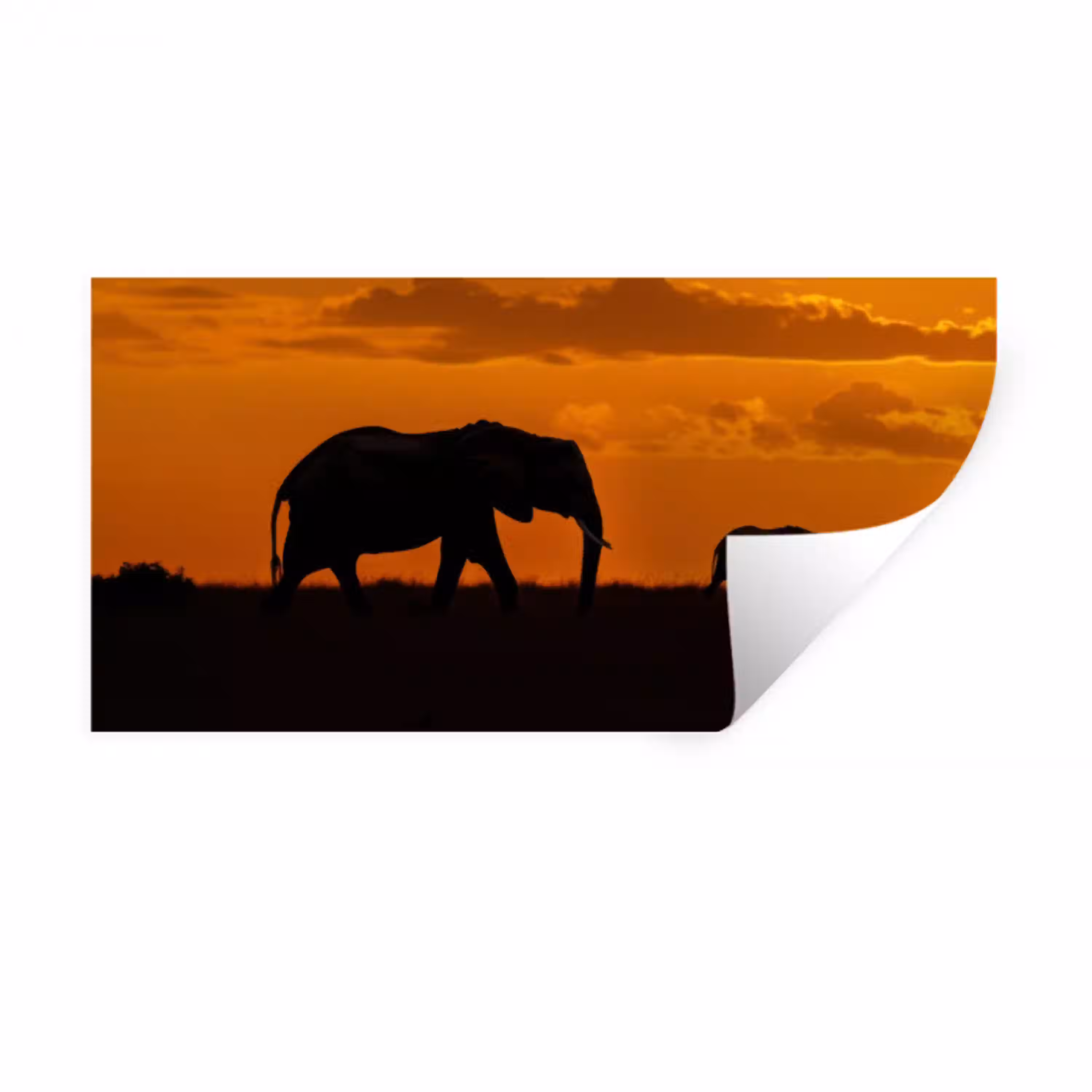 Olifanten - Savanne - Zonsondergang Muursticker klein -3d