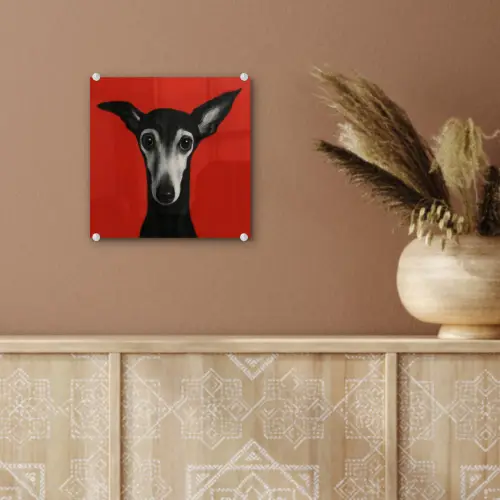 Windhond - Minimalistisch - Rood plexiglas 5mm klein -sfeer5