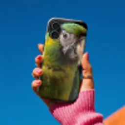 Ara - Portret - Groen Toughcase MagSafe Apple iPhone 17 klein -Sfeer1V