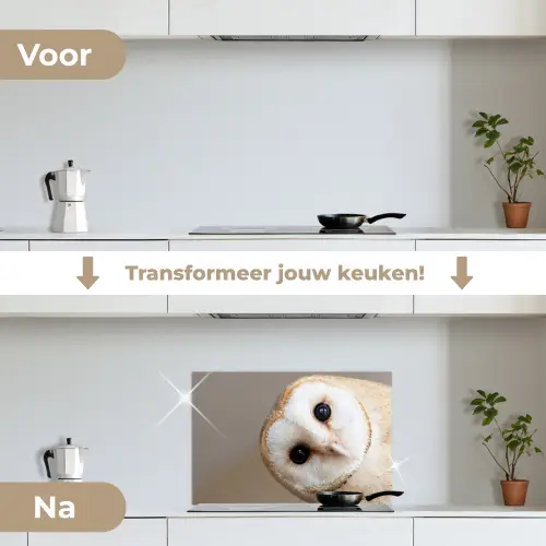 Uil - Bruin - Wit keuken achterwand spatscherm klein -voor_na_NL