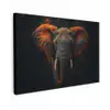 Olifant - Oranje - Oren canvas 2cm klein -z3d