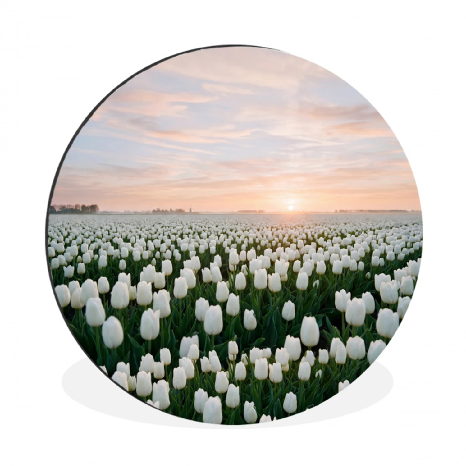 Tulpen - Landschap - Wit Wandcirkel aluminium klein -3d