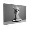 Alpaca - Pasta - Zwart - Wit - Grappig - Dieren Tuinposter op houten frame 2 cm dik klein -3d