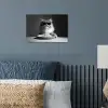 Langharige kat - Zonnebril - Spaghetti - Humor - Zwart - wit poster papier klein -sfeer2