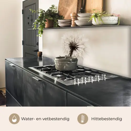 Paardenbloem - Minimalistisch - Wit keuken achterwand 2 middel -usp_NL