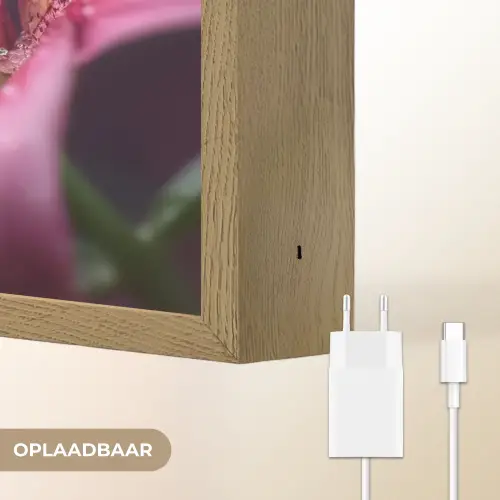 Roze - lelie - Dauwdruppels Light Box met batterij (Wandlamp) middel -USP_websiteoplaadbaarNL