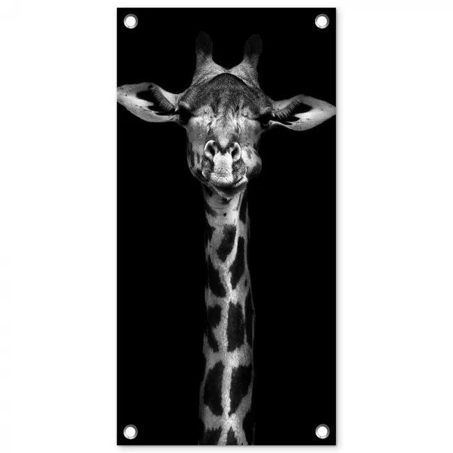 Zwart-wit portret van een giraffe tuinposter los doek klein -3d