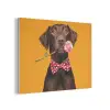 Hond - Oranje - Roos - Valentijn PET vilt klein -3d