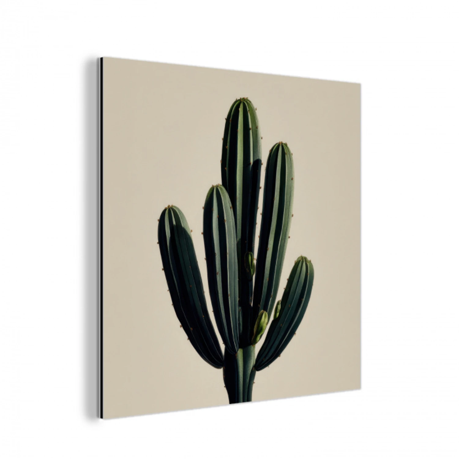 Cactus - Subtiel - Groen aluminium wit klein -3d