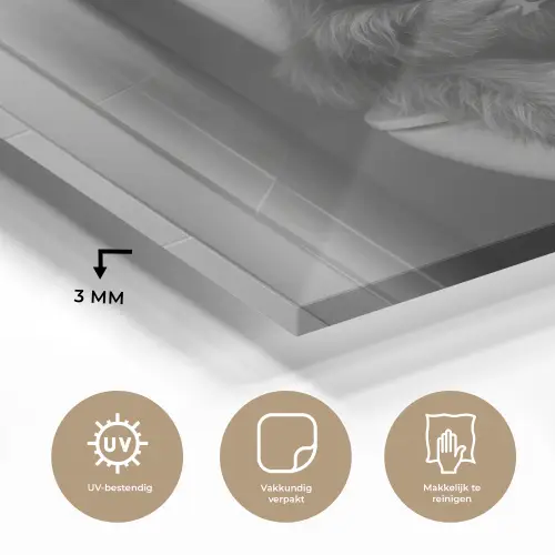 Stier - Telefoon - Toilet - Zwart - Wit plexiglas 5mm klein -sfeer2