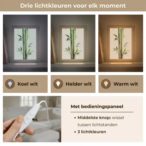 Bamboestengels - Sierlijk - Groen Light Box met kabel (Tafellamp) klein -USP_lichtkleurNL
