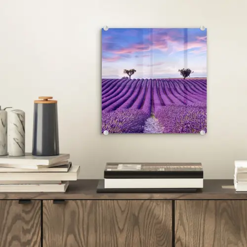 Lavendel - Natuur - Paars - Bomen - Bloemen plexiglas 5mm klein -sfeer1