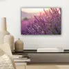 Lavendel - Paars - Zonlicht canvas 2cm klein -sfeer6