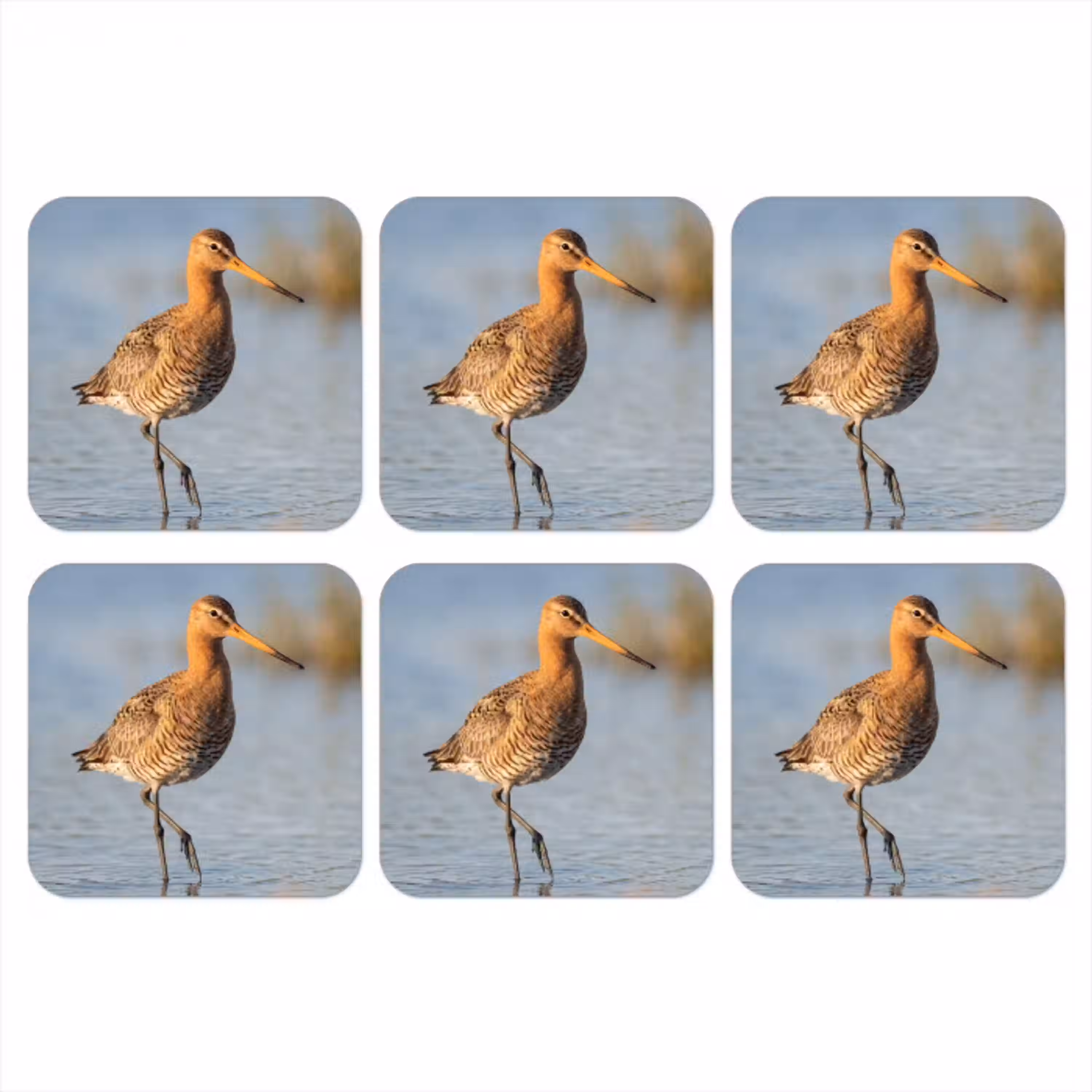 Vogel - Steltloper - Water - Natuur onderzetter kurk middel -3d