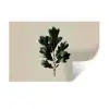 Eikenbladeren - Beige - Groen - Golvende randen Muursticker klein -3d