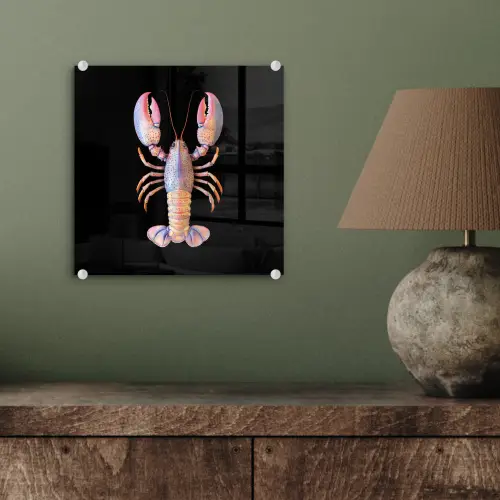 Kreeft - Roze - Zacht - Zwart plexiglas 5mm klein -sfeer3
