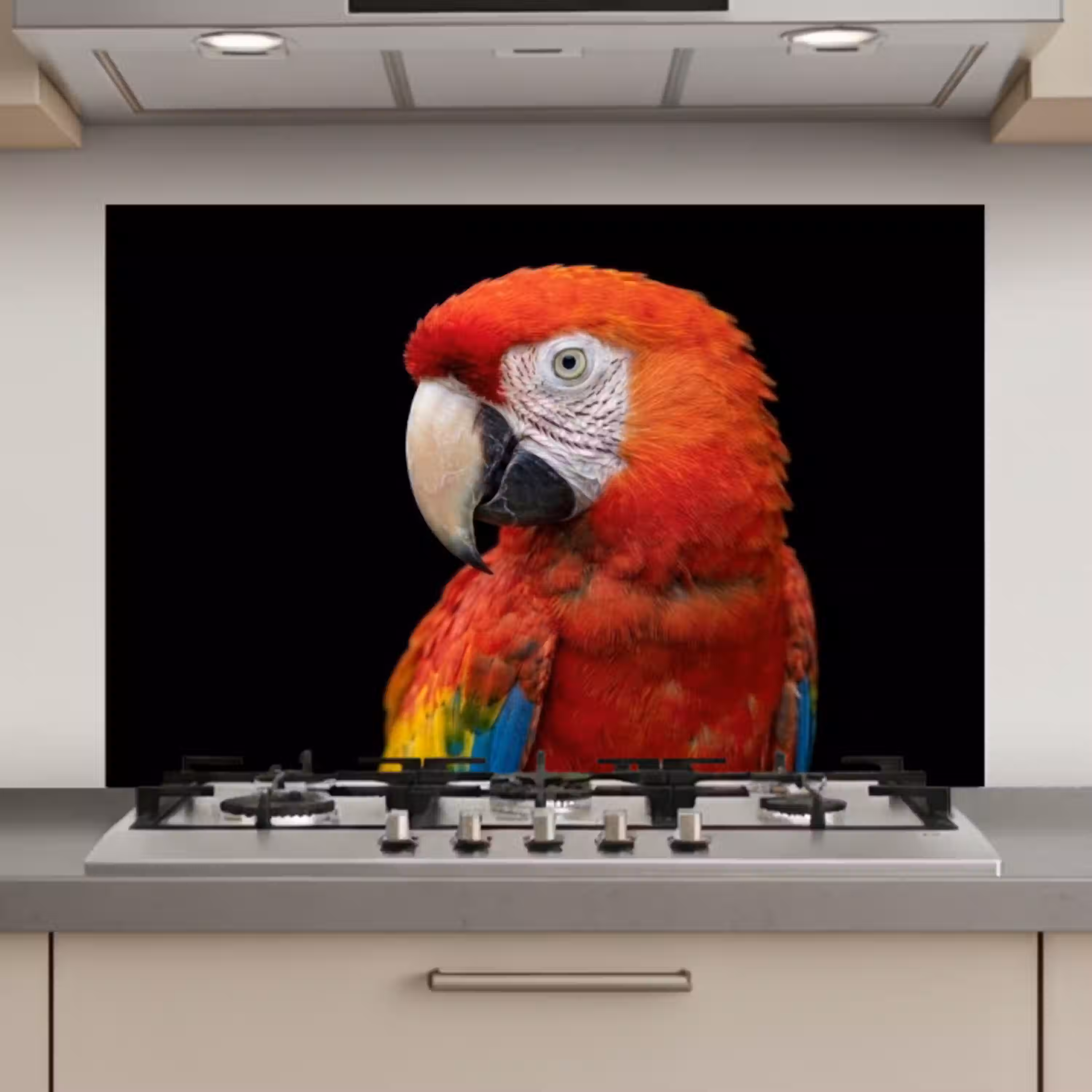 Ara - Portret - Rood keuken achterwand spatscherm klein -3d_website