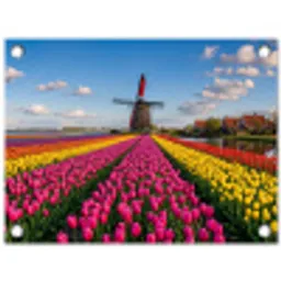 Tulpen - Holland - Molen - Kleurrijk tuinposter los doek klein -3d