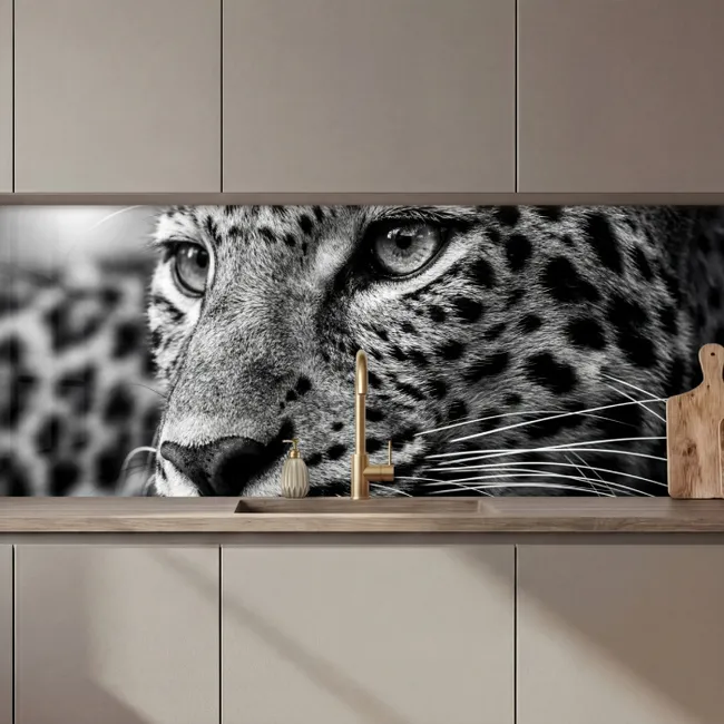 Küchen rückwand - Leopard - Schwarz - Weiß - Auge