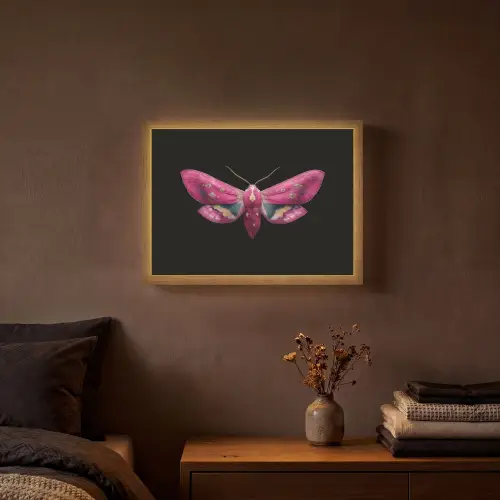 Vlinder - Roze - Nachtvlinder Light Box met batterij (Wandlamp) middel -sfeer4