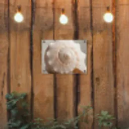Schelp - Detail - Beige tuinposter los doek klein -sfeer1