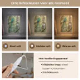 Quetzal - Jungle - Natuur - Groen Light Box met kabel (Kinderlampje) klein -USP_lichtkleurNL