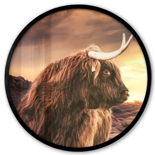 Schotse hooglander - Zon - Horizon - Koe - Dieren Fotolijst rond zonder passe partout klein -3d