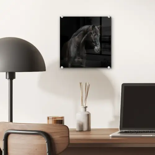 Paard - Dieren - Zwart - Portret plexiglas 5mm klein -sfeer6
