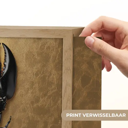 Kreeft - Zwart - Goud - Luxe Light Box met batterij (Wandlamp) middel -USP_websiteprintNL