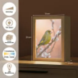 Groenling - Katjes - Lente - Natuur - Zacht Light Box met kabel (Kinderlampje) klein -USP_websiteoverzichtDE