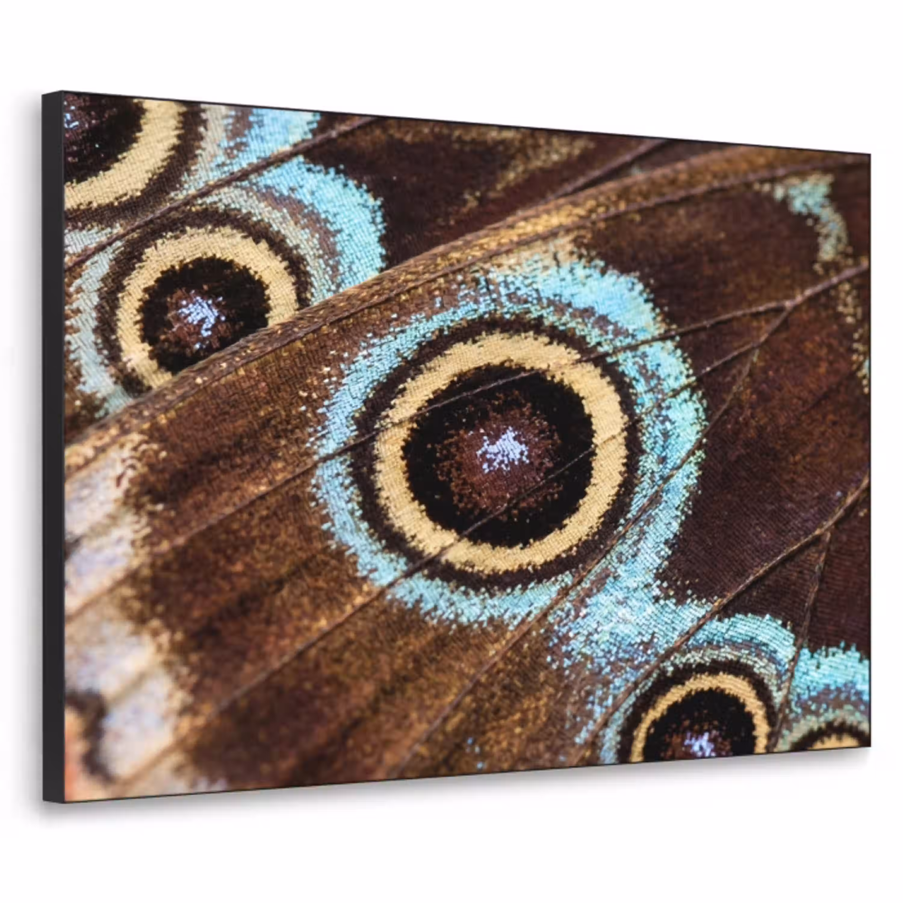 Vleugels - Vlinder - Blauw Textielframe zwart klein -3d