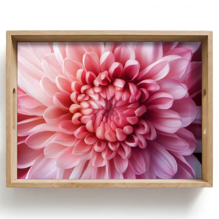 Dahlia - Bloem - Close up - Roze Dienblad Rechthoek middel -z3d_shopping