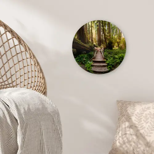 Jungle - Natuur - Trap - Bomen Wandcirkel kunststof plaat 5mm dik klein -sfeer5