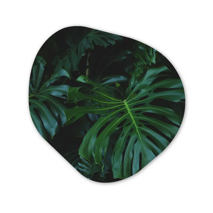 Monstera -  Inductie beschermer - Bladeren - Tropical - Afdekplaat voor kookplaat Wandcirkel Organisch Plexiglas middel -3d