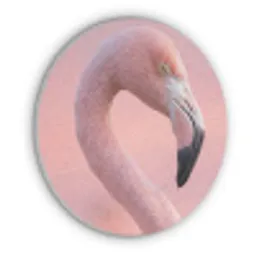 Flamingo - Portret - Roze Akoestische PET Vilt - Rond klein -3d