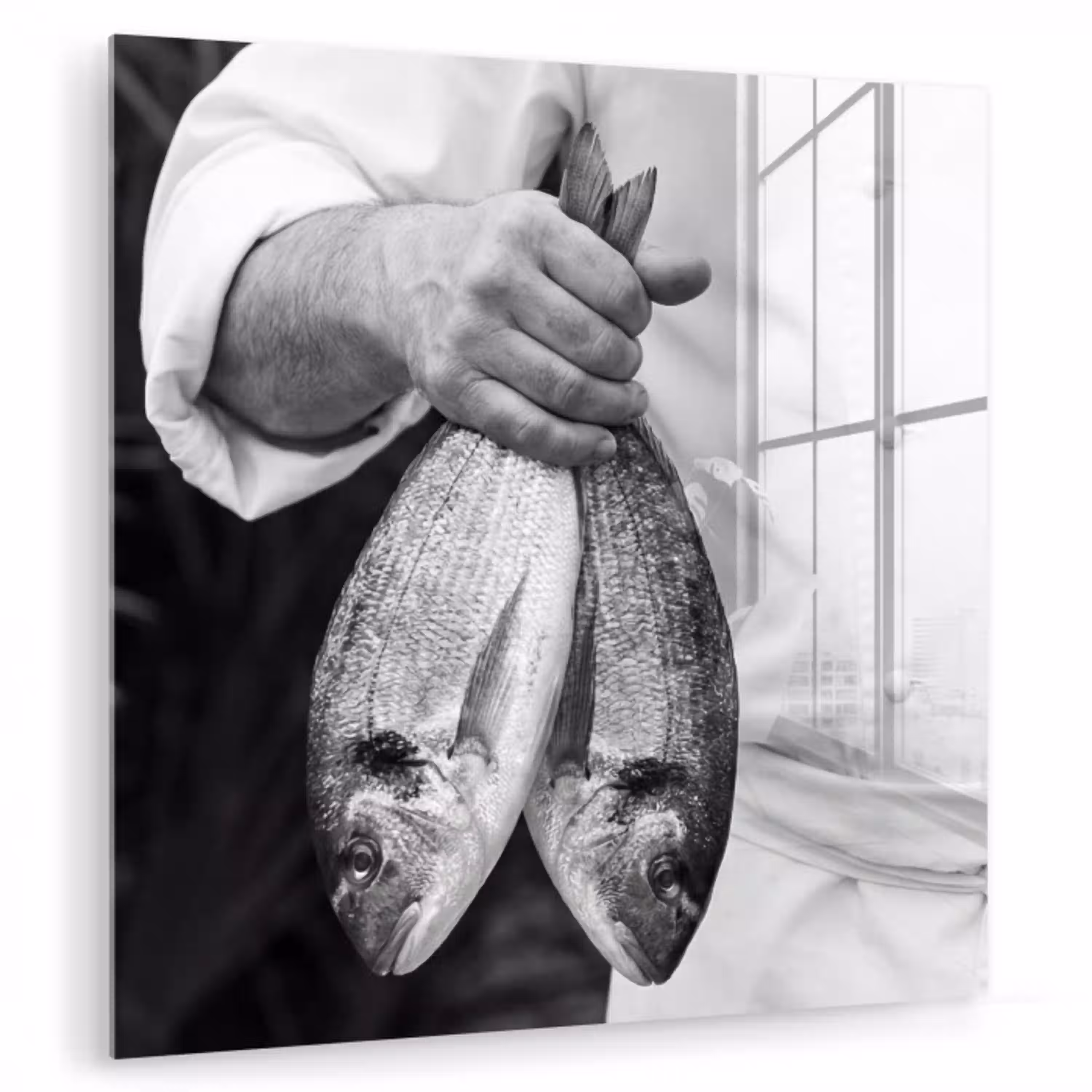 Vissen - Chef - Zwart - Wit plexiglas 5mm klein -zzzproduct_nieuw