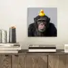 Chimpansee - Badeend - Grijs aluminium wit klein -sfeer1