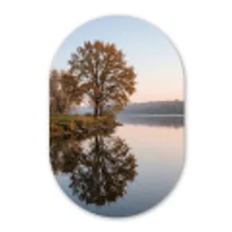 Bomen - Reflectie - Water - Zonsopgang - Serene Wandcirkel Ovaal Aluminium middel -3d
