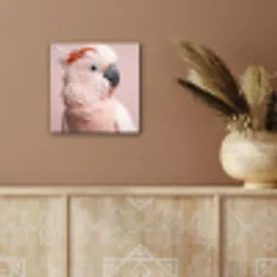 Kaketoe - Portret - Roze aluminium wit klein -sfeer4