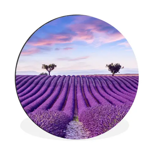 Lavendel - Natuur - Paars - Bomen Wandcirkel aluminium klein -3d