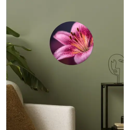 Roze - lelie - Dauwdruppels Wandcirkel behangsticker klein -sfeer2