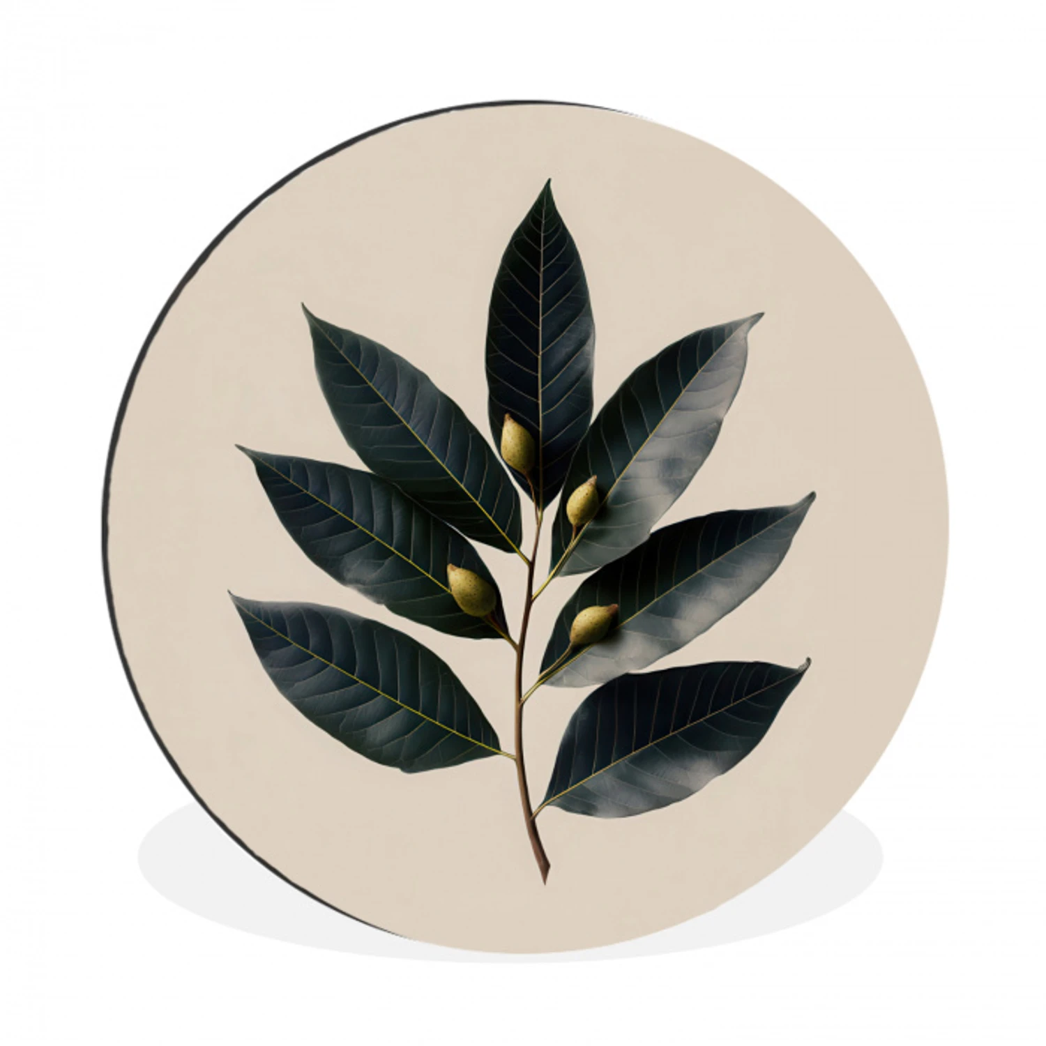 Laurierbladeren - Bloemknoppen - subtiel Wandcirkel aluminium klein -3d