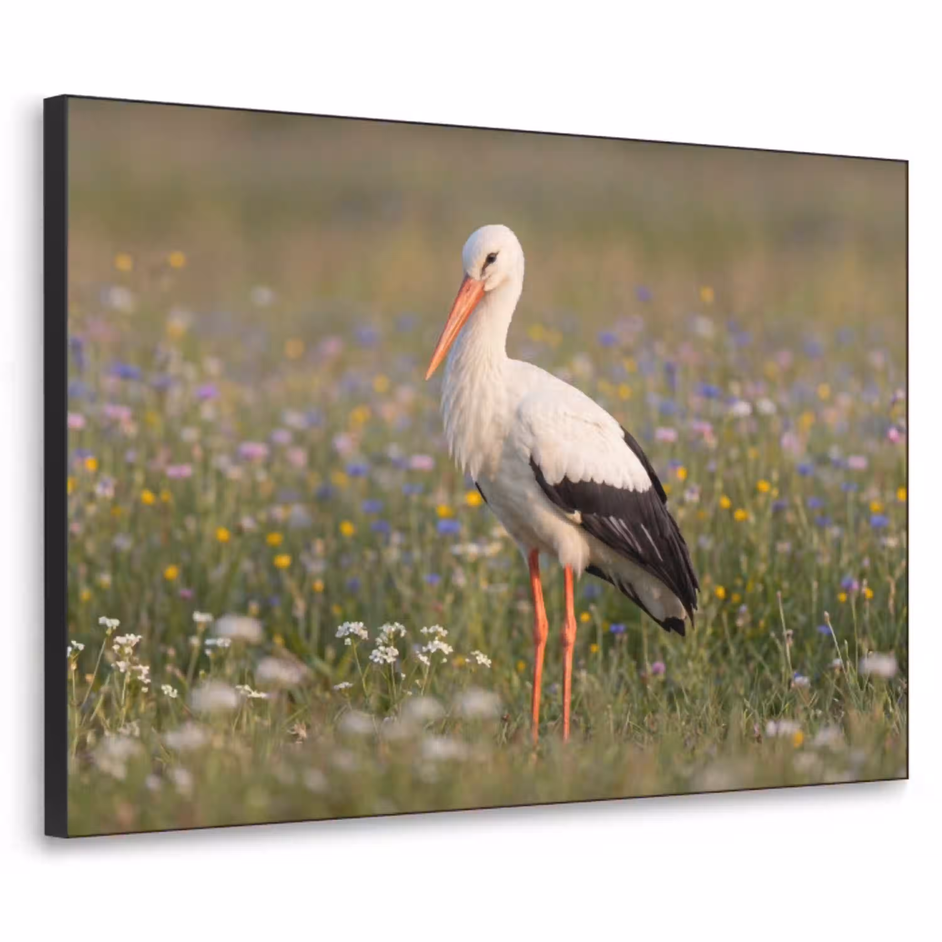 Ooienvaar - Bloemen - Weide - Kleurrijk Textielframe zwart klein -3d