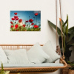 Klaprozen in tegenlicht tuinposter los doek klein -sfeer7