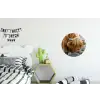 Schotse Hooglander - Dieren - Bruin - Koe - Zwart - Wit - Natuur Wandcirkel aluminium klein -kinderkamer
