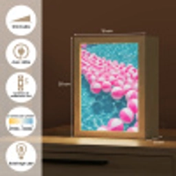 Strandballen - Roze - Water Light Box met kabel (Tafellamp) klein -USP_FR