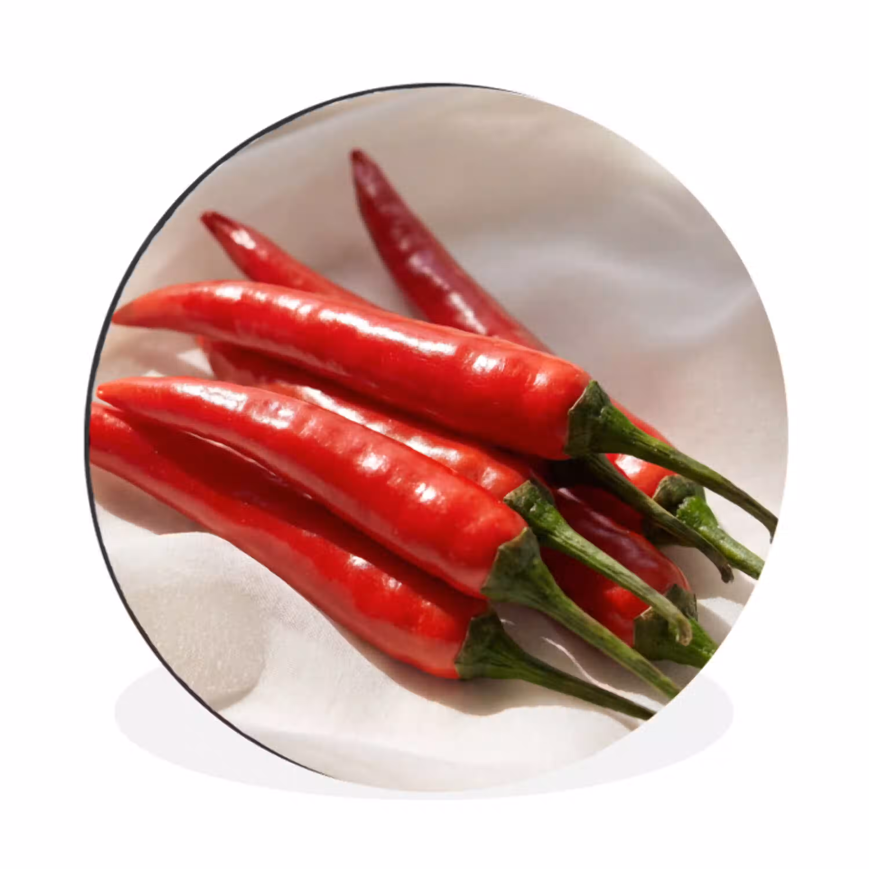 Peper - Rood - Eten Wandcirkel aluminium klein -3d