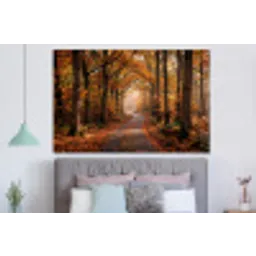 Bospad - Herfstbos - Bladeren - Oranje - Nostalgisch forex 5mm xxl -slaapkamer